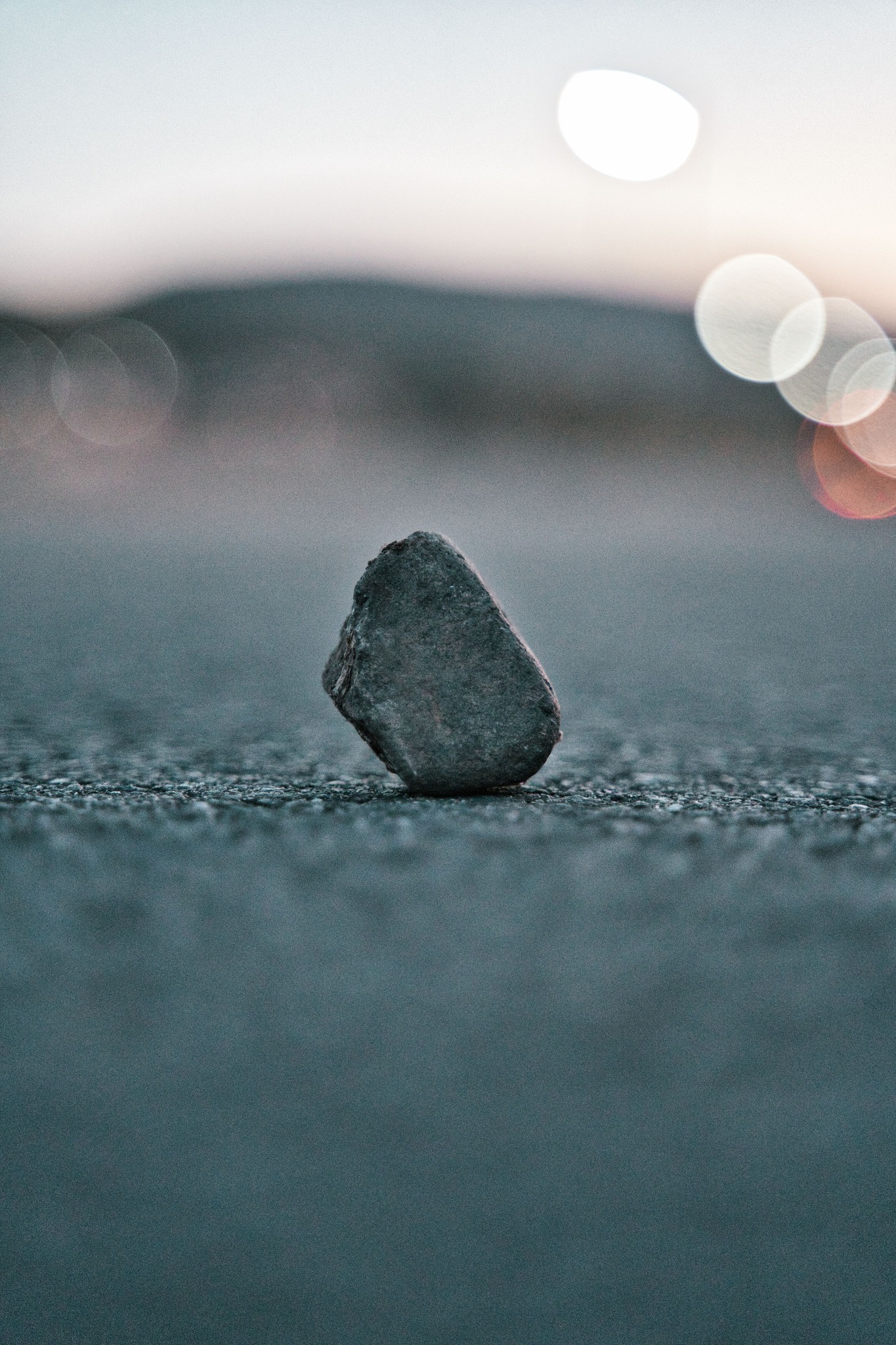 月例会課題写真は「石の写真」でした